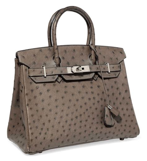 hermes birkin ostrich graphite|most popular ostrich Hermes bags.